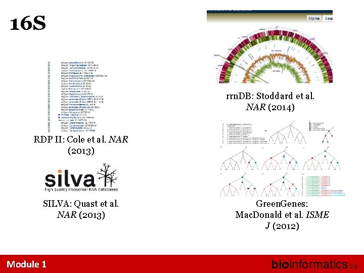 16 S rrn. DB: Stoddard et al. NAR (2014) RDP II: Cole et al.