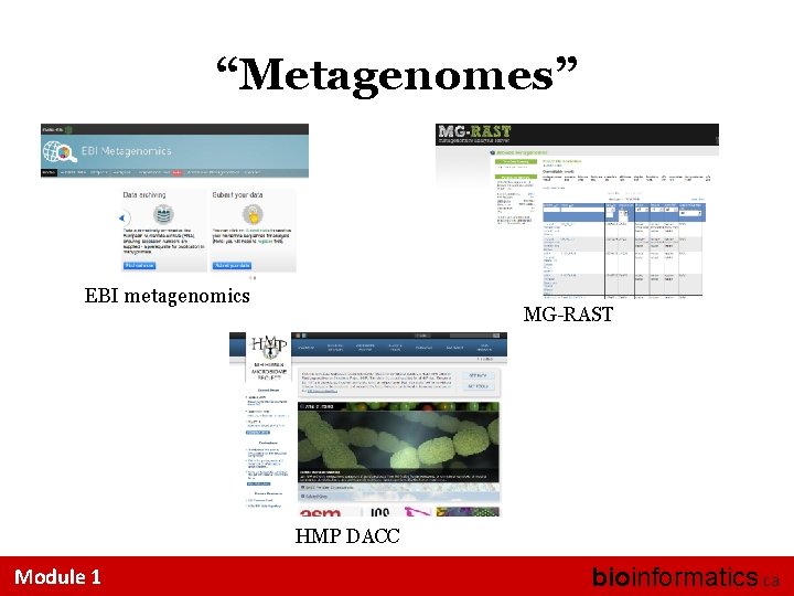 “Metagenomes” EBI metagenomics MG-RAST HMP DACC Module 1 bioinformatics. ca 