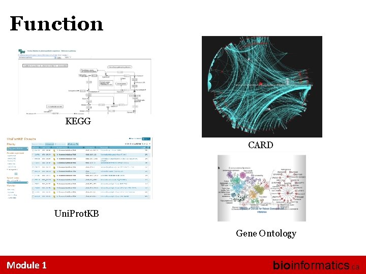 Function KEGG CARD Uni. Prot. KB Gene Ontology Module 1 bioinformatics. ca 