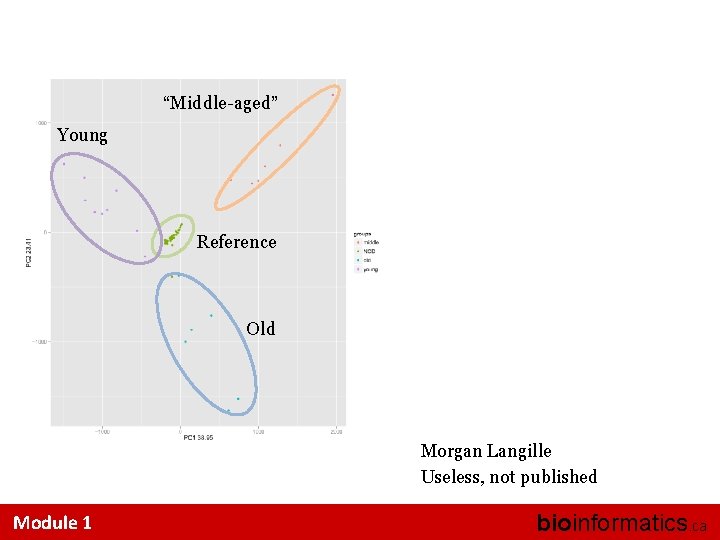 “Middle-aged” Young Reference Old Morgan Langille Useless, not published Module 1 bioinformatics. ca 