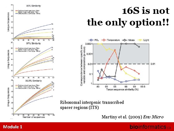 16 S is not the only option!! Ribosomal intergenic transcribed spacer regions (ITS) Martiny