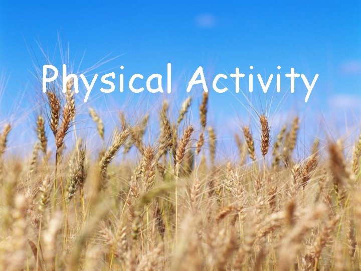 Physical Activity 
