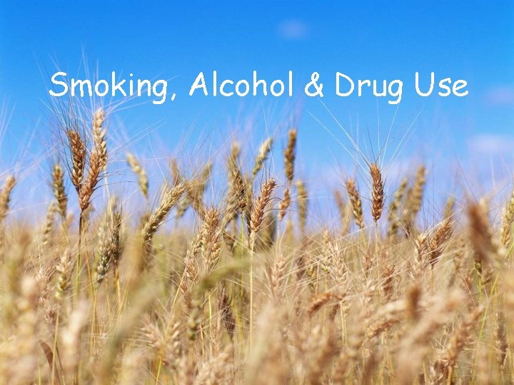Smoking, Alcohol & Drug Use 