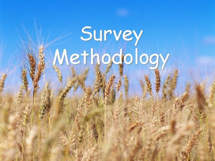 Survey Methodology 