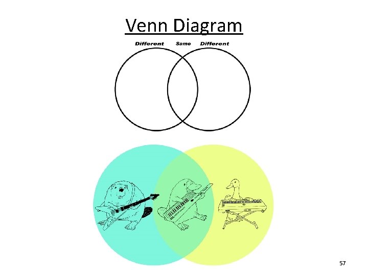 Venn Diagram 57 