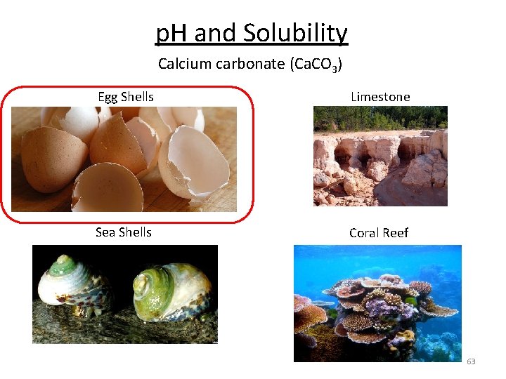 p. H and Solubility Calcium carbonate (Ca. CO 3) Egg Shells Limestone Sea Shells