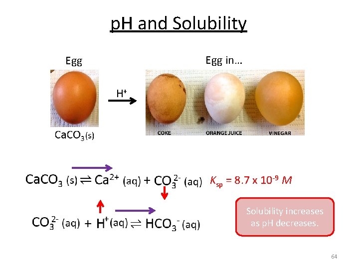 p. H and Solubility Egg in… Egg H+ Ksp = 8. 7 x 10