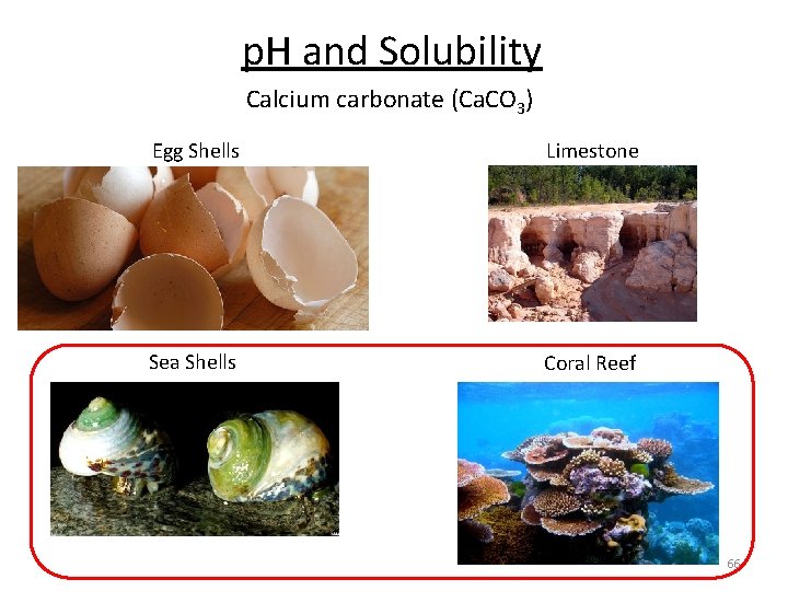 p. H and Solubility Calcium carbonate (Ca. CO 3) Egg Shells Limestone Sea Shells