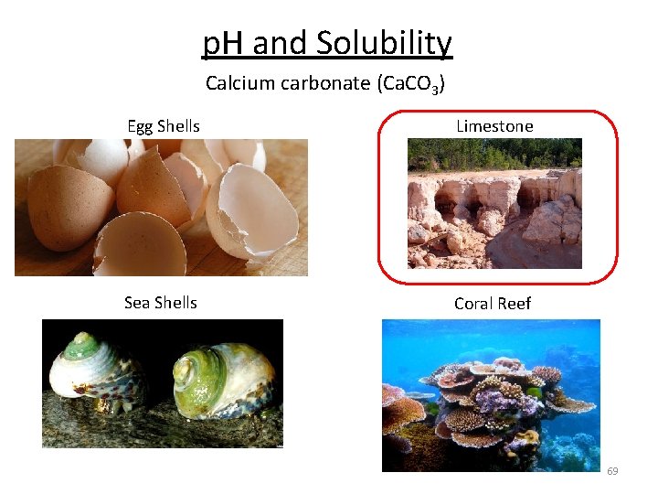 p. H and Solubility Calcium carbonate (Ca. CO 3) Egg Shells Limestone Sea Shells