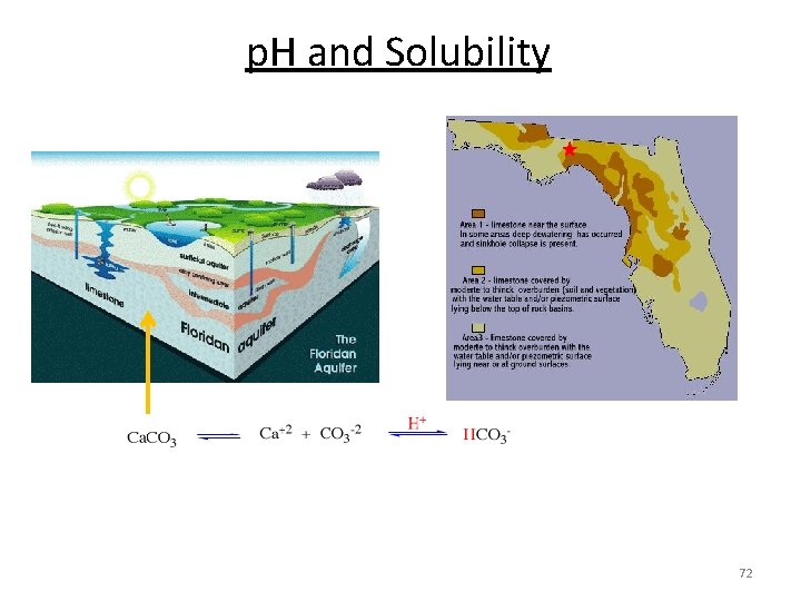 p. H and Solubility 72 