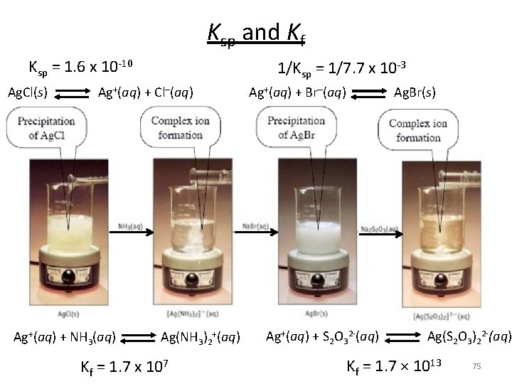 Ksp and Kf Ksp = 1. 6 x 10 -10 Ag. Cl(s) Ag+(aq) +