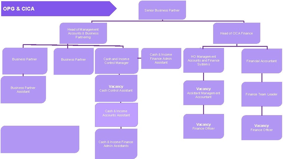 OPG & CICA Senior Business Partner Head of Management Accounts & Business Partnering Business