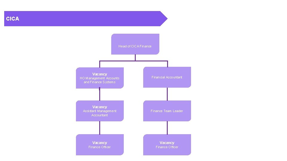 CICA Head of CICA Finance Vacancy HO Management Accounts and Finance Systems Financial Accountant