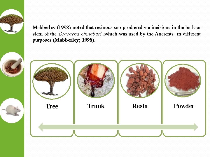 Mabberley (1998) noted that resinous sap produced via incisions in the bark or stem