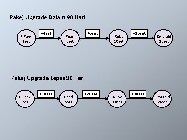 Pakej Upgrade Dalam 90 Hari P. Pack 1 set +4 set +5 set Pearl