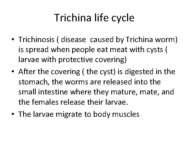 Trichina life cycle • Trichinosis ( disease caused by Trichina worm) is spread when