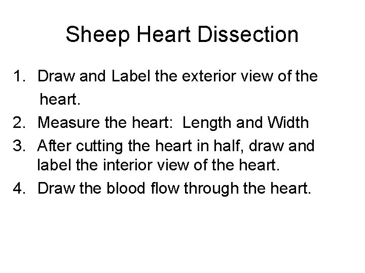 Sheep Heart Dissection 1. Draw and Label the exterior view of the heart. 2.