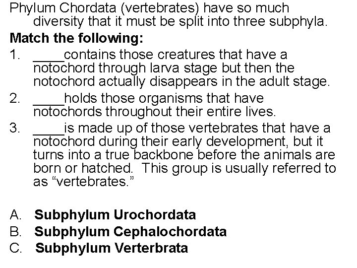 Phylum Chordata (vertebrates) have so much diversity that it must be split into three