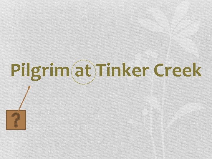 Pilgrim at Tinker Creek 