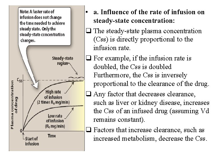  • a. Influence of the rate of infusion on steady-state concentration: q The