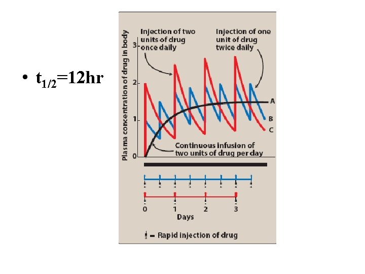 • t 1/2=12 hr 