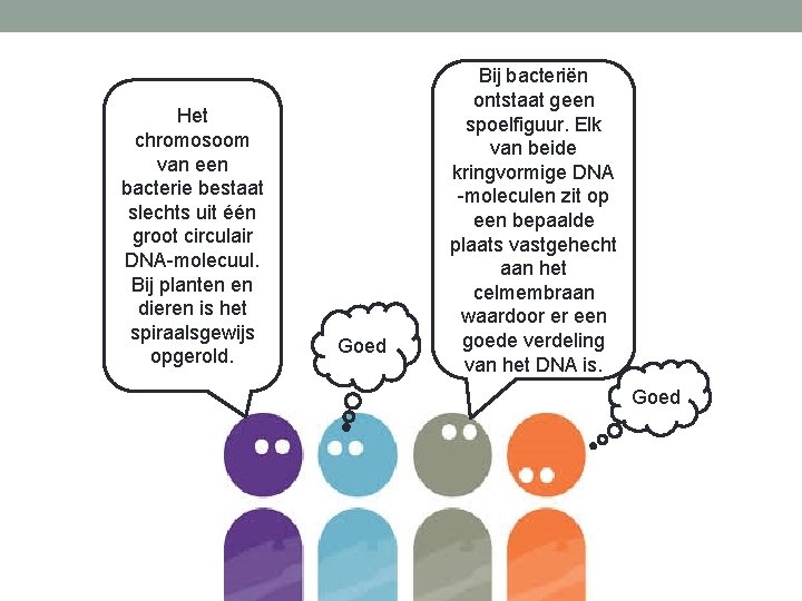 Het chromosoom van een bacterie bestaat slechts uit één groot circulair DNA-molecuul. Bij planten