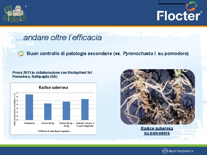 …andare oltre l’efficacia Buon controllo di patologie secondarie (es. Pyrenochaeta l. su pomodoro) Prova