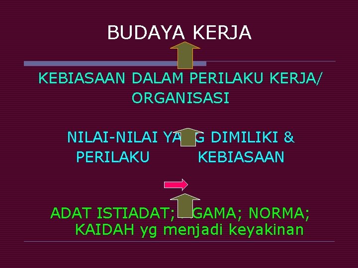 BUDAYA KERJA KEBIASAAN DALAM PERILAKU KERJA/ ORGANISASI NILAI-NILAI YANG DIMILIKI & PERILAKU KEBIASAAN ADAT