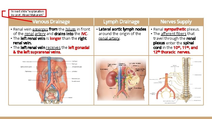 In next slide “explanation by prof. Abuel Makarem” Venous Drainage Lymph Drainage Nerves Supply