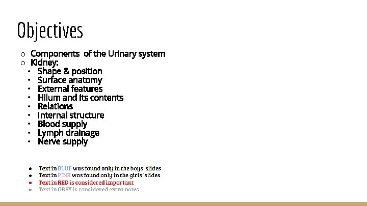 Objectives o Components of the Urinary system o Kidney: • Shape & position •