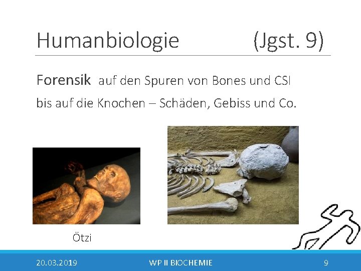 Humanbiologie (Jgst. 9) Forensik auf den Spuren von Bones und CSI bis auf die