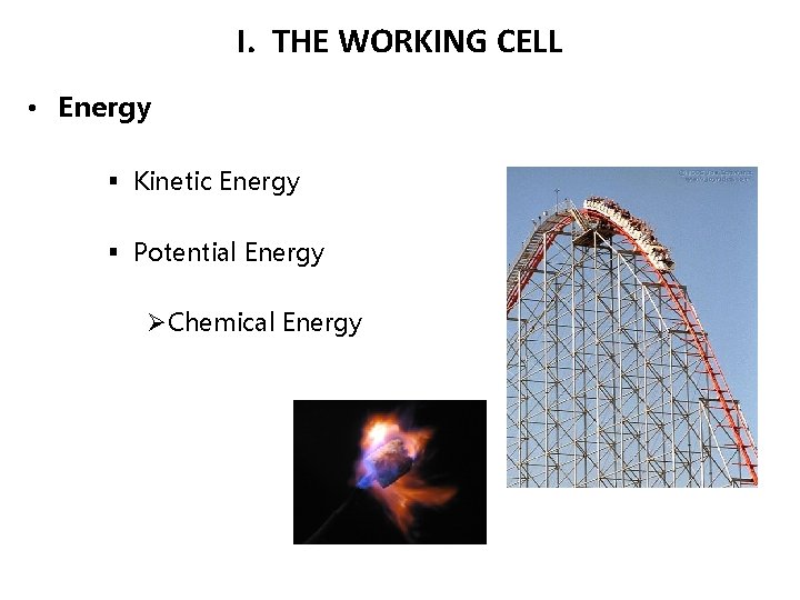 I. THE WORKING CELL • Energy § Kinetic Energy § Potential Energy ØChemical Energy