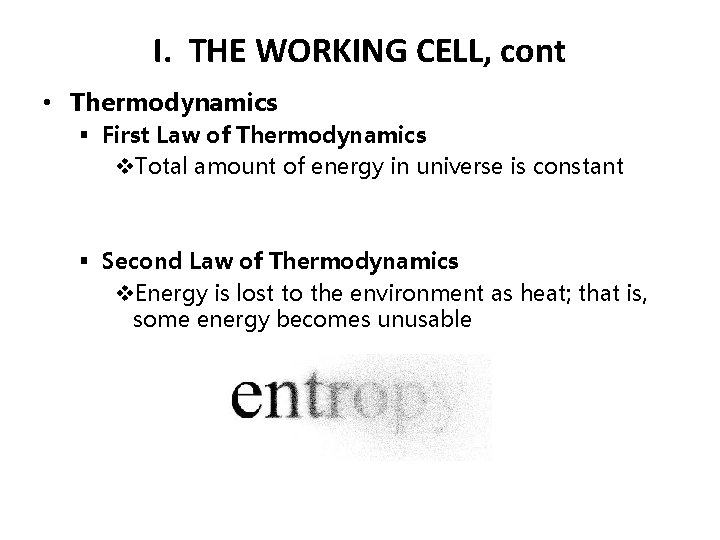 I. THE WORKING CELL, cont • Thermodynamics § First Law of Thermodynamics v. Total