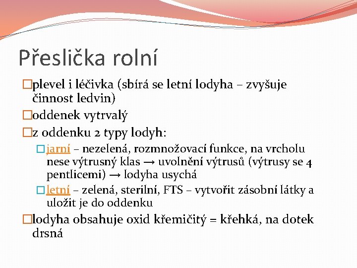 Přeslička rolní �plevel i léčivka (sbírá se letní lodyha – zvyšuje činnost ledvin) �oddenek