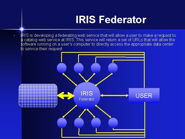 IRIS Federator • IRIS is developing a federating web service that will allow a