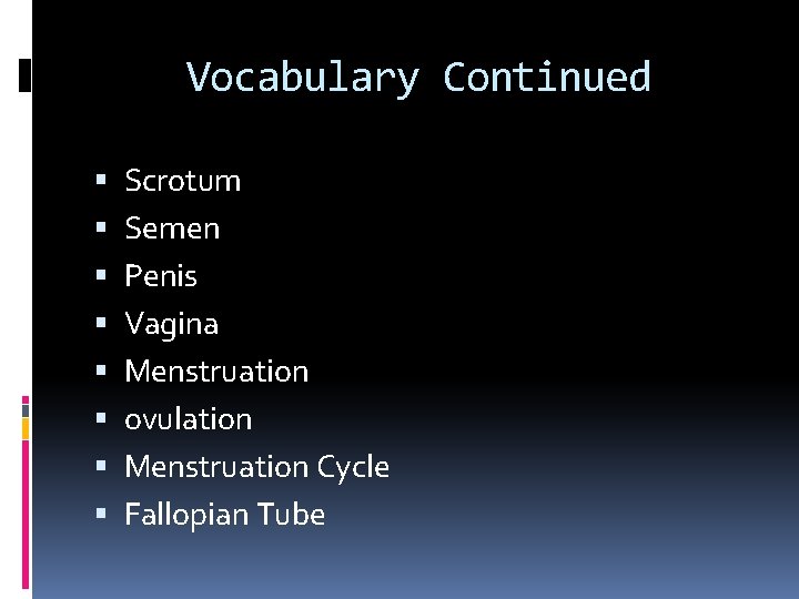 Vocabulary Continued Scrotum Semen Penis Vagina Menstruation ovulation Menstruation Cycle Fallopian Tube 