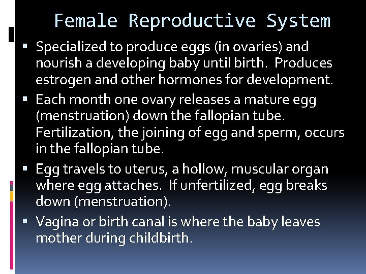 Female Reproductive System Specialized to produce eggs (in ovaries) and nourish a developing baby