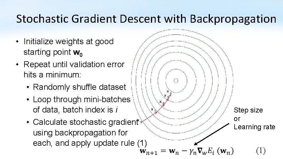 Stochastic Gradient Descent with Backpropagation • Initialize weights at good starting point w 0