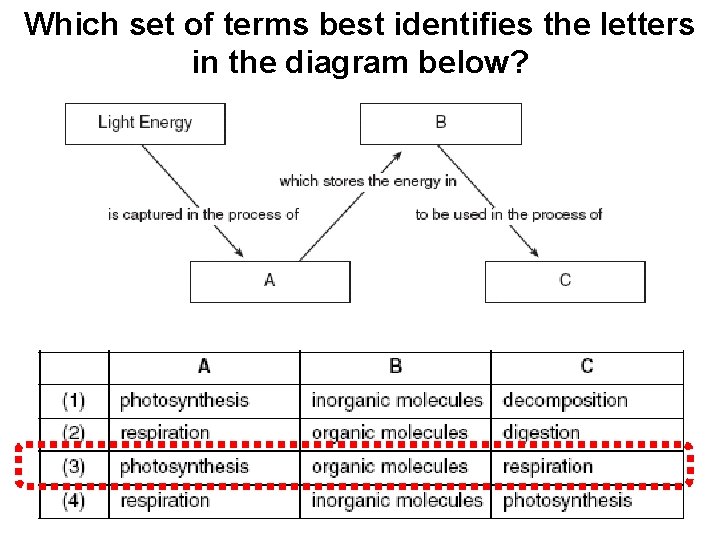 Which set of terms best identifies the letters in the diagram below? 