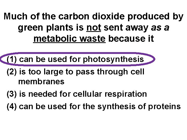 Much of the carbon dioxide produced by green plants is not sent away as