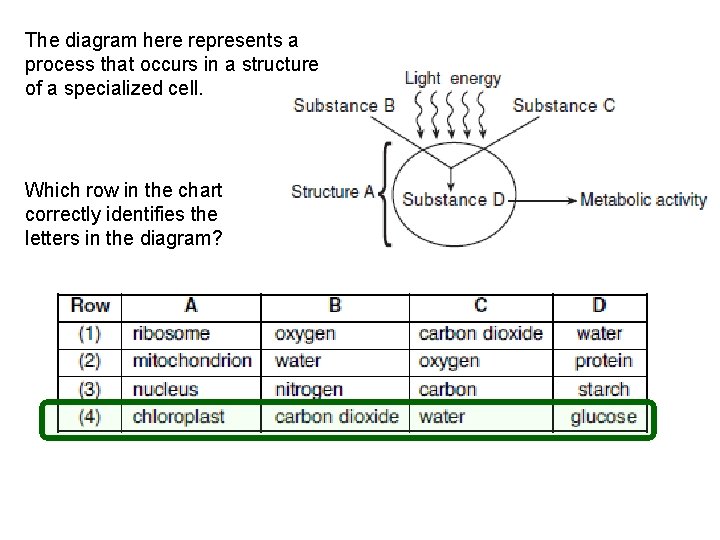 The diagram here represents a process that occurs in a structure of a specialized