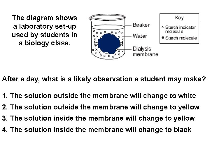 The diagram shows a laboratory set-up used by students in a biology class. After