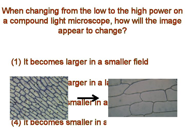 When changing from the low to the high power on a compound light microscope,