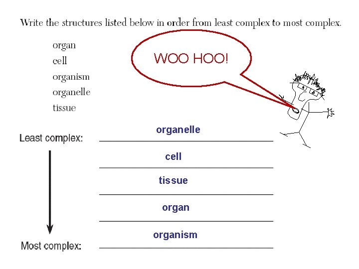 WOO HOO! organelle cell tissue organism 