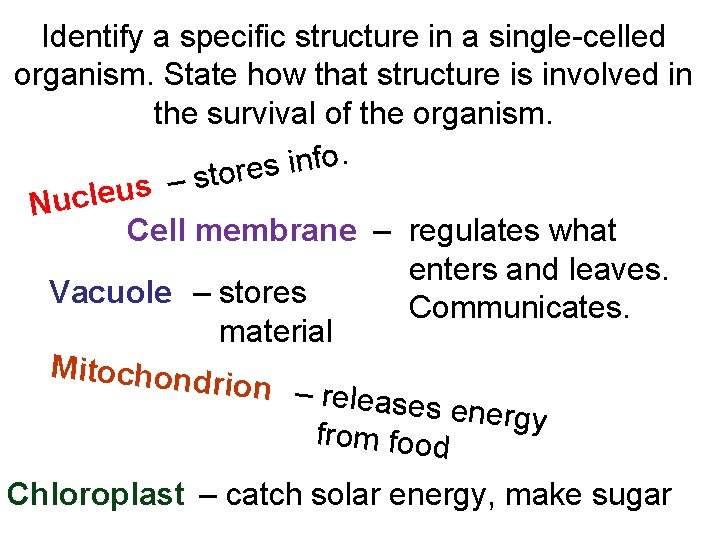 Identify a specific structure in a single-celled organism. State how that structure is involved
