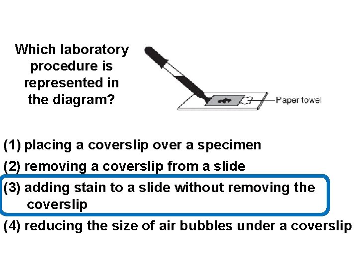 Which laboratory procedure is represented in the diagram? (1) placing a coverslip over a