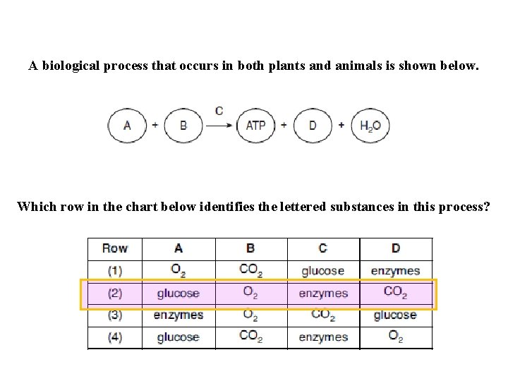 A biological process that occurs in both plants and animals is shown below. Which