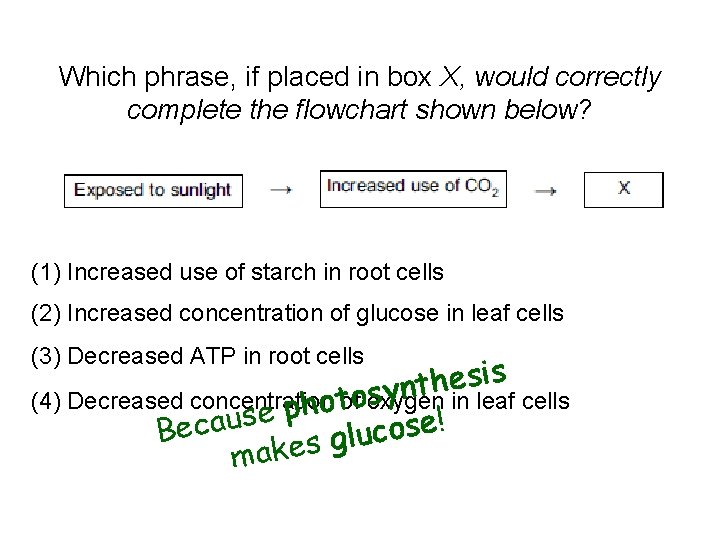 Which phrase, if placed in box X, would correctly complete the flowchart shown below?