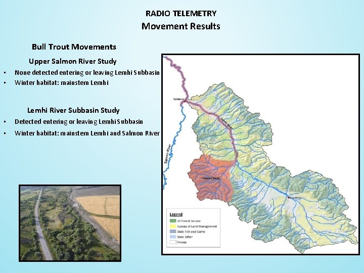 RADIO TELEMETRY Movement Results Bull Trout Movements Upper Salmon River Study • • None