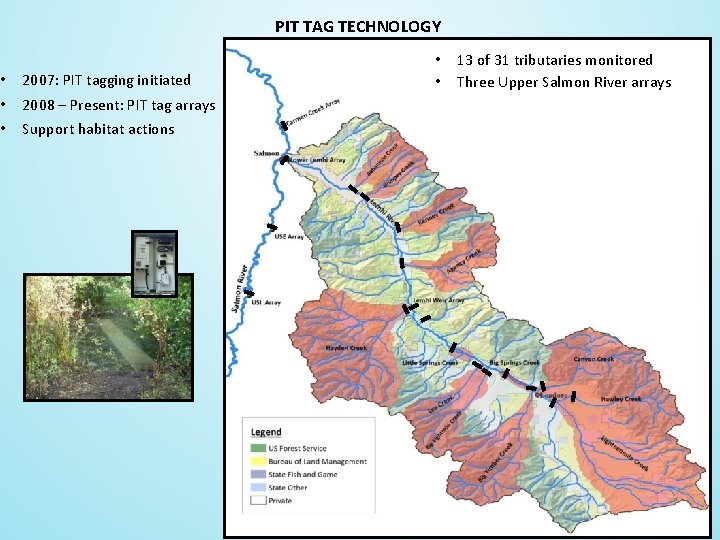 PIT TAG TECHNOLOGY 13 of 31 tributaries monitored Three Upper Salmon River arrays -